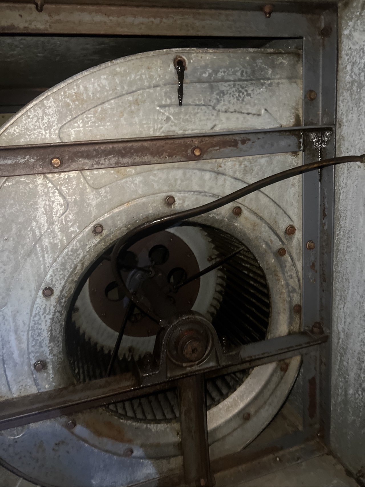 油烟机深度清洁特惠季，厨房新风貌，清新生活每一天都值得期待 - 清洗后 - 机器人清洗高标准交付