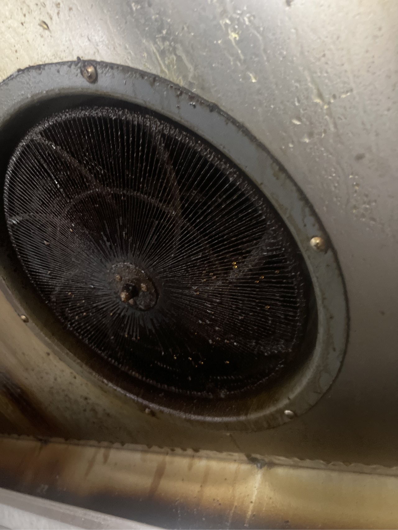 专业油烟机清洗,厨房环境更优雅 - 清洗前 - 郑州天得一国家一级资质团队作业实拍