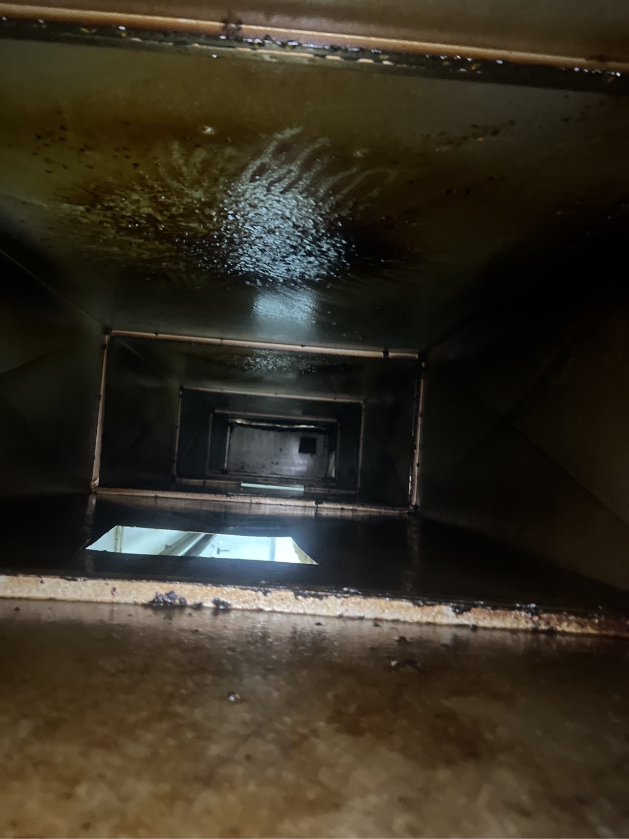 鹤壁中餐厅清洗实拍