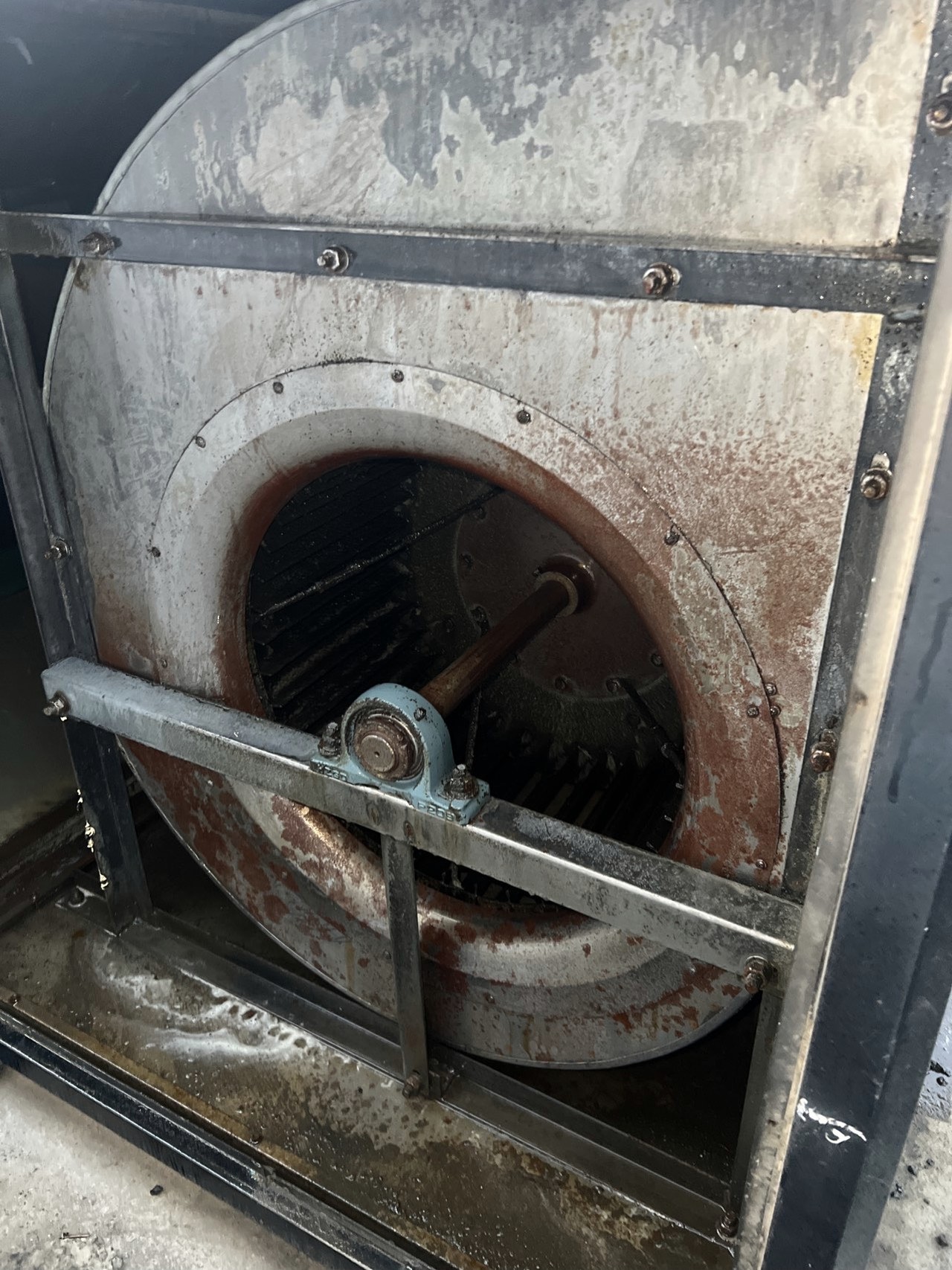 厨房油烟机全面清洗，油烟烦恼去无踪，清新烹饪更自在 - 清洗后 - 机器人清洗高标准交付