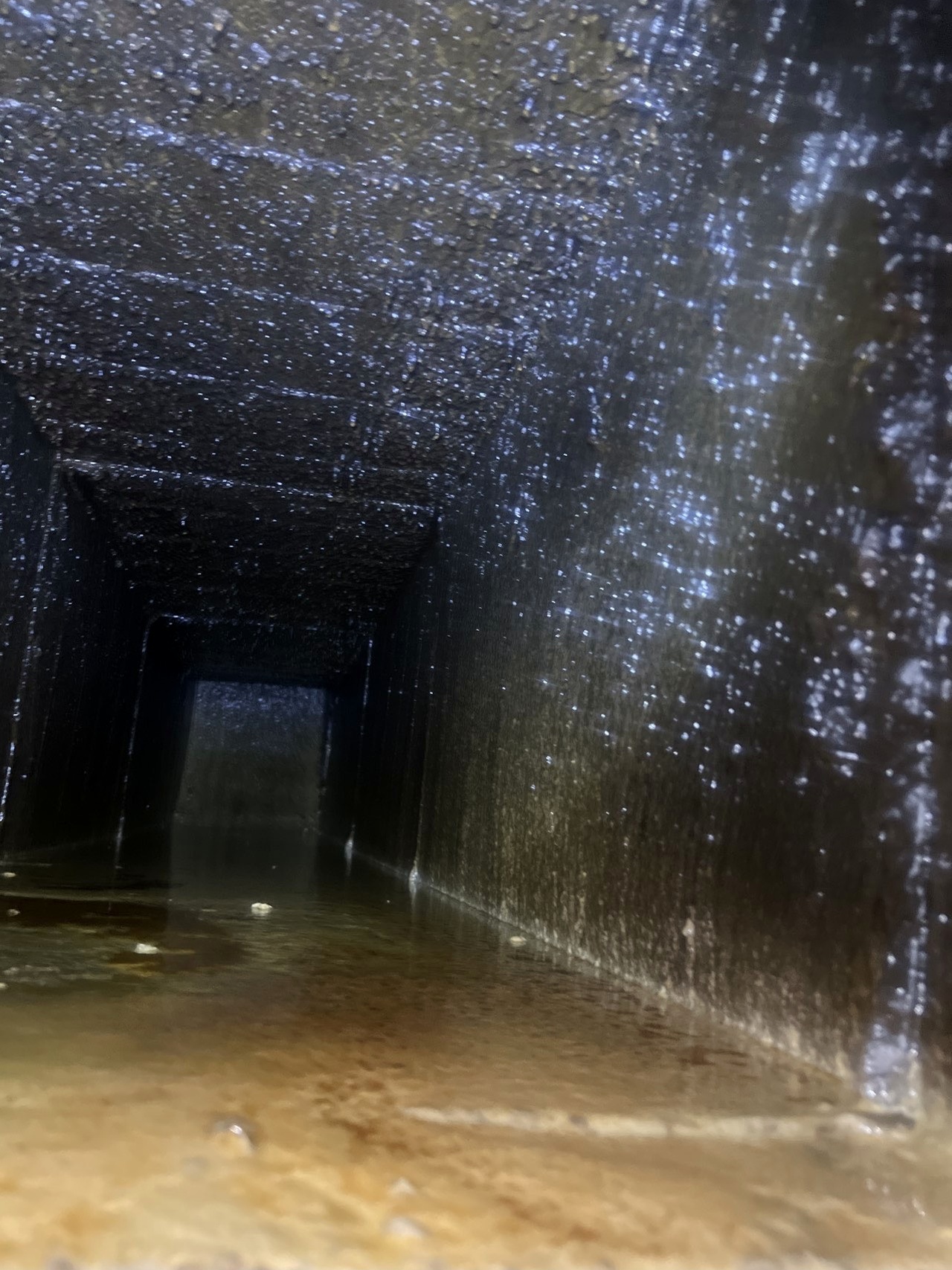  餐厅大型油烟机清洗，高效清除油污，打造清新工作环境。 - 清洗前 - 郑州天得一国家一级资质团队作业实拍