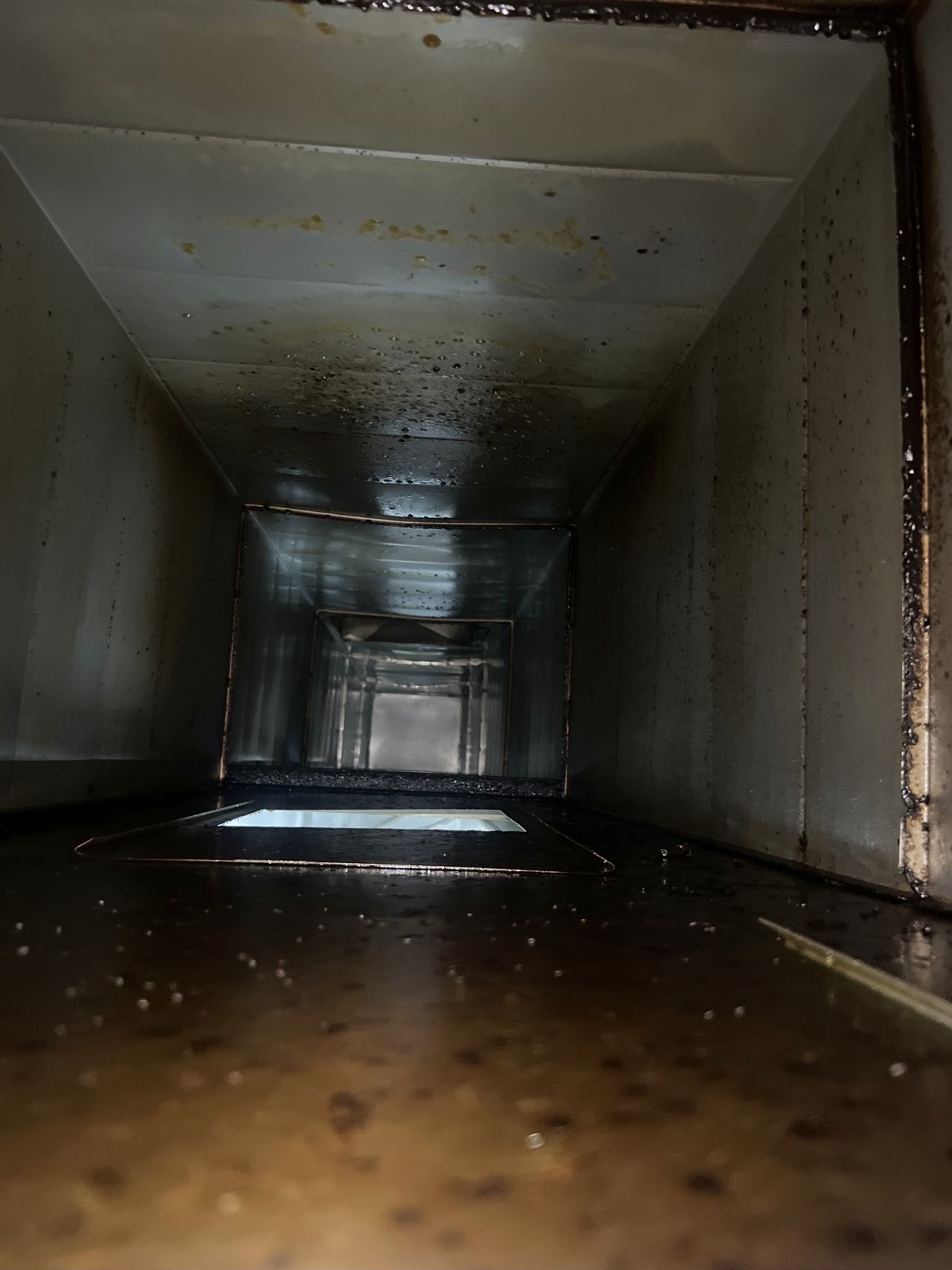 周口购物中心风机清洗多少钱 - 清洗前 - 郑州天得一国家一级资质团队作业实拍