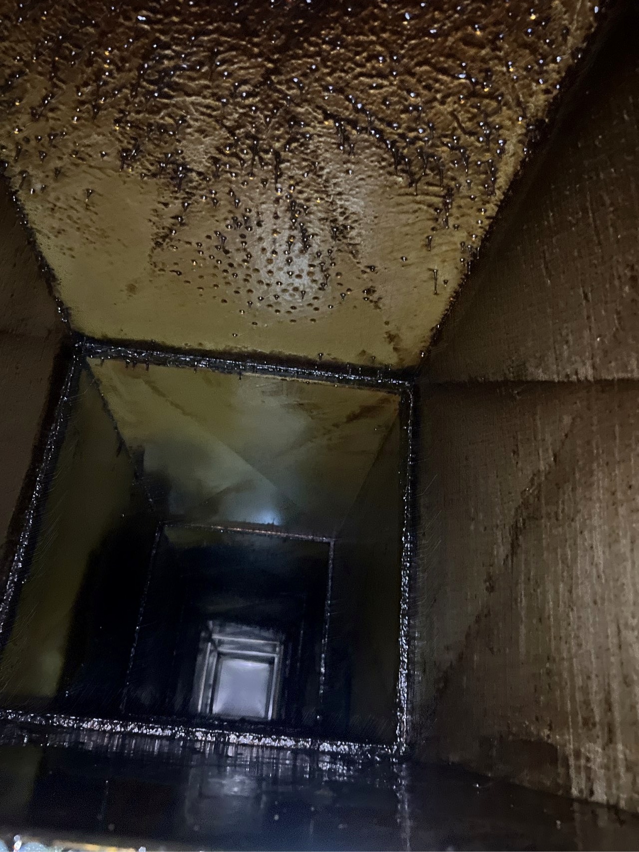 安阳幼儿园食堂排烟管道清洗电话 - 清洗前 - 郑州天得一国家一级资质团队作业实拍